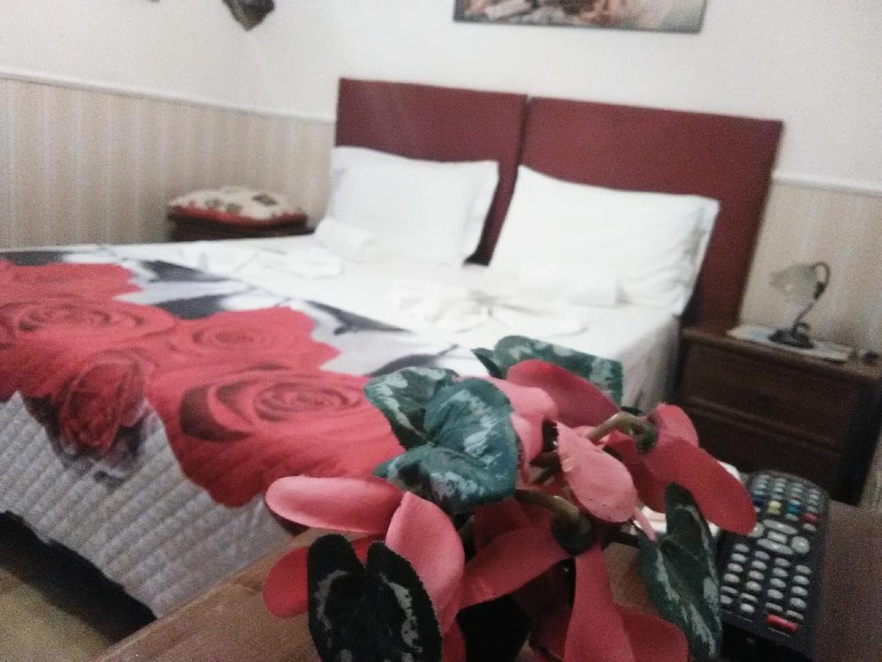 Hillary House Hotell Fiumicino Eksteriør bilde