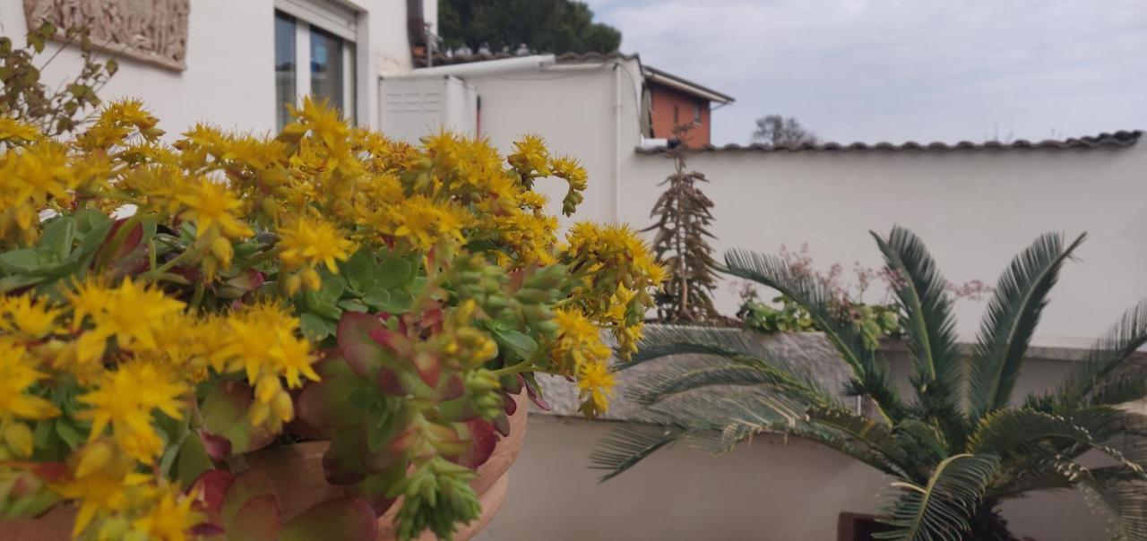 Hillary House Hotell Fiumicino Eksteriør bilde